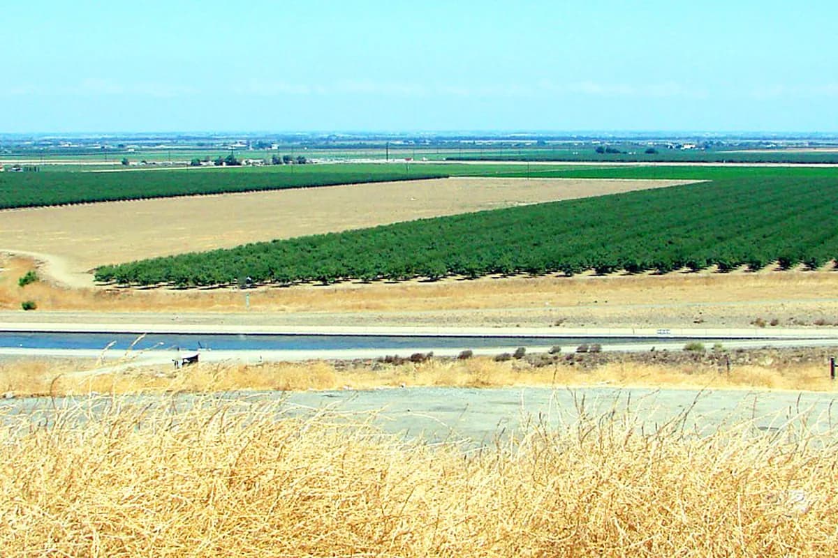San Joaquin Valley irrigation canal and orchards near Selma along Highway 99