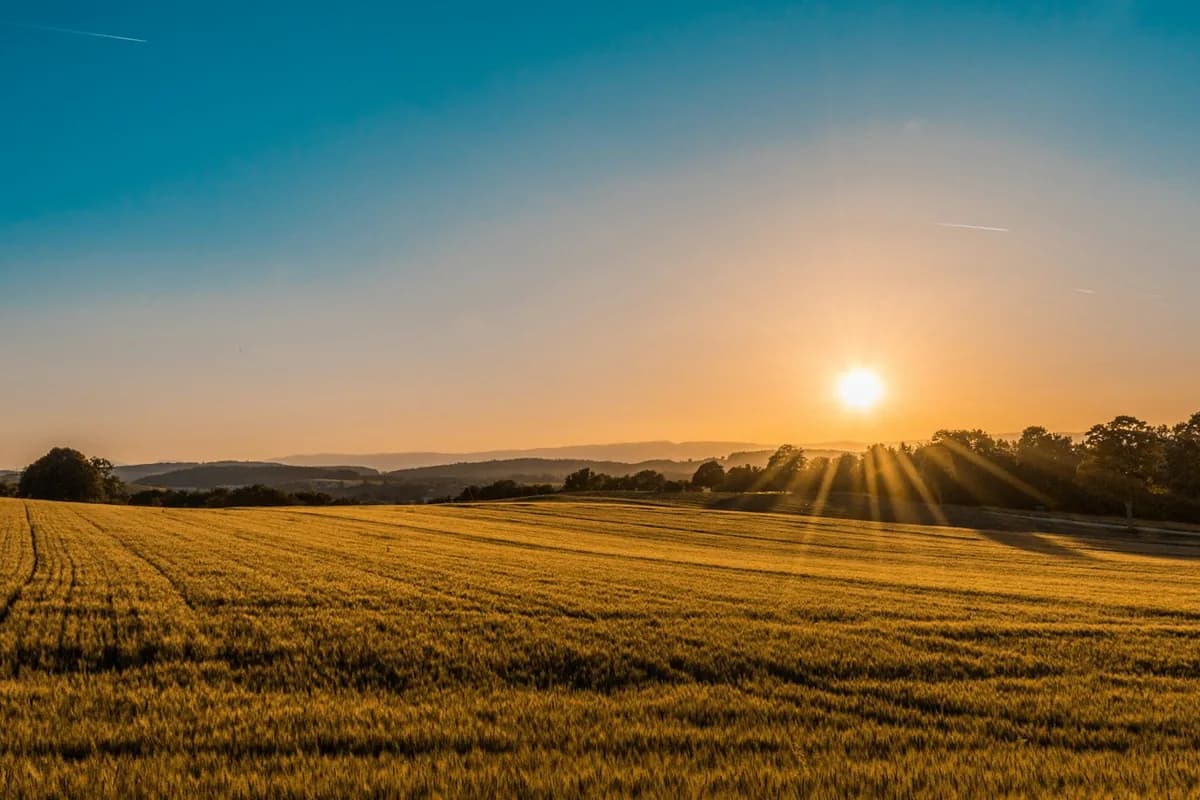 Golden valley farmland near Clovis, CA where manufactured homes need professional leveling