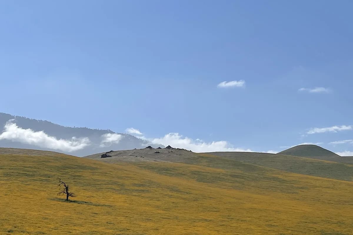 Northern Central Valley foothill landscape near Madera, CA
